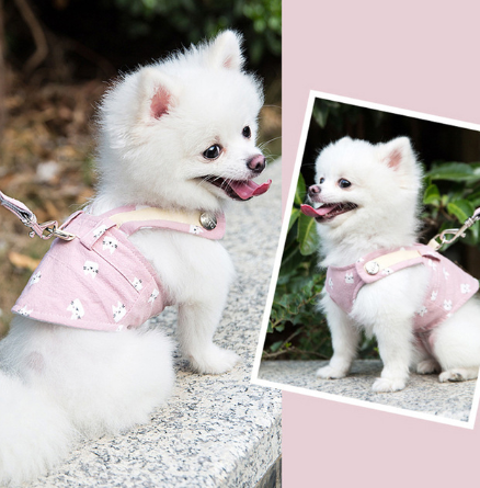 Cute Pet Harness Leash Set