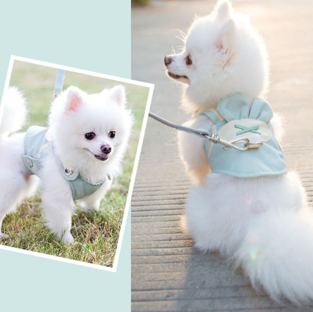Cute Pet Harness Leash Set