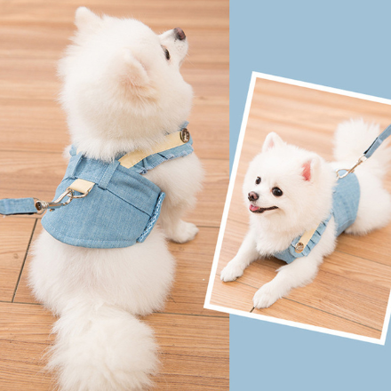 Cute Pet Harness Leash Set