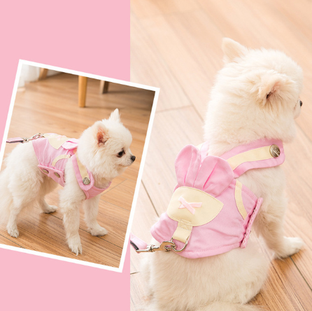 Cute Pet Harness Leash Set