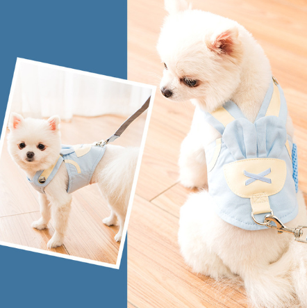 Cute Pet Harness Leash Set
